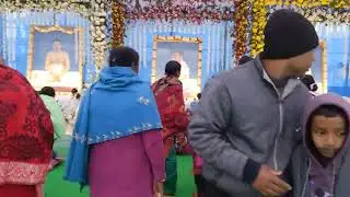 Planted Sasan provides video and Poonam&hearts;️&hearts;️