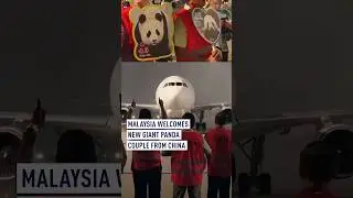 Malaysia welcomes new giant panda couple from China