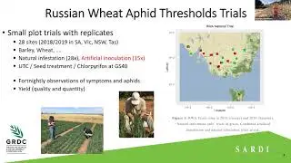 Dr Maarten van Helden: IPM for the Russian Wheat Aphid
