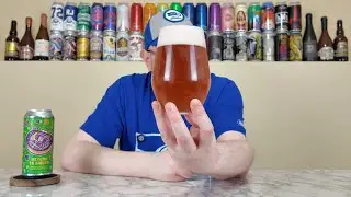 Return to Sinder (Brazilian A&ccedil;a&iacute; Bowl Pastry Sour) | Hidden Springs Ale Works | Beer Review | #2636
