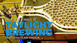 How Craft Beer is Made at Taylight Brewing