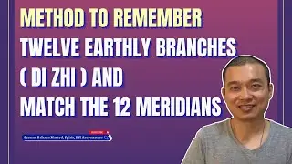 3. To remember The Twelve Earthly Branches (Di Zhi) in this way and matching the 12 meridians