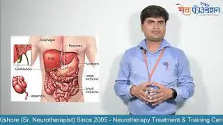 #Stomach Diagnosis in #Neurotherapy | Pet Ki Bimariya Ese Dekhe | NT #Diagnostic Chart by #Nawalsir