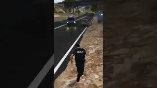 Polska Policją zawsze profesjonalnie😎 #grandtheftauto5 #polskapolicja