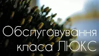 Visad landscape company