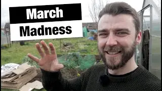 March Plot Tour & Sowing Tomatoes