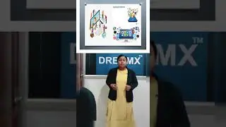 Software Development vs Web Development