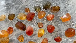 Oregon Coast Agate Tumble 