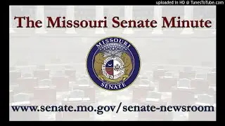 The Missouri Senate Minute for May 7: Redistricting Proposal