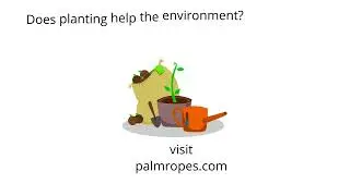 8 Reasons Why Planting Is Good For The Environment
