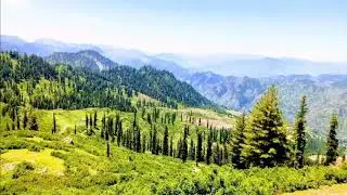 Beautiful Battagram.