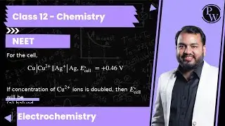 For the cell,      Cu|Cu^2+Ag^+| Ag, E_cell ^∘=+0.46 &nbsp;V  If concentration of Cu^2+ ions is double...