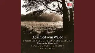 Schilflied, WN 445