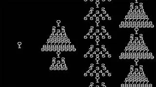 Contemporary Theme - Preview @YouTube