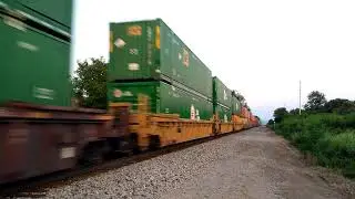 CP 198