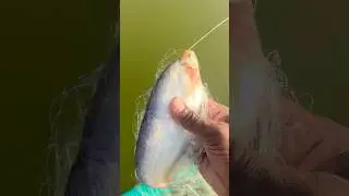 Sotta valai meen
