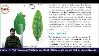 🌸 Morphology of Flowering Plants L-2 | Structure of Leaf & Its Types | NEET 2026 Booster 🚀