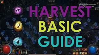 [PoE 3.11] Harvest Basic Guide