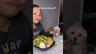 Lets see until when we gonna eat clean lol 😂 #fyp #dogs  #viral