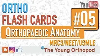 Ortho Flash Cards - Orthopaedic Anatomy #05 - NEET PG | USMLE | MRCS | The Young Orthopod