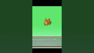 Nidoran + Weedle - PIF