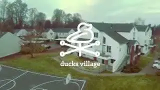 Ducks Village - Come Fly With Us
