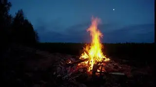 🔥 Campfire Ambience with Night Animals such as Owls and Crickets. Made for Relaxation & Sleep, Enjoy