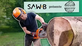 COPAINS DES BOIS / Relocaliser la fili&egrave;re bois en Belgique