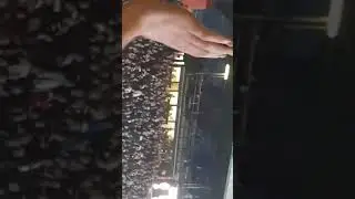 Jimmy maciter song sinning by Dundee United against Dundee 6.2 Dundee United