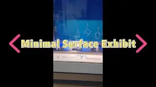Minimal Surface Lab Math Exhibit | Explore Geometry via Soap Film Experiment & Visualization