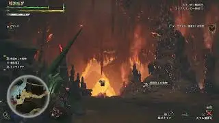 ソロ ランスで歴戦王 ヌ・エグドラ フリーチャレンジS取ったっピ【モンハンワイルズ】