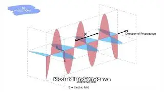 Quantum Entanglement in the Brain