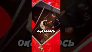 Такое они точно запомнят надолго 😅