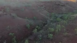 DJI Neo - Albert Tognolini Rest Area - Free camp 10/6/25
