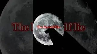THE LONE WOLF LIE