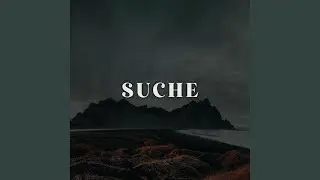 Suche