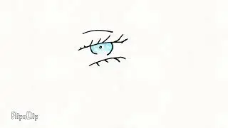 Eye blink animation