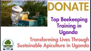 The Best Beekeeping Training in Uganda | Empowering Uganda Through Sustainable Beekeeping in Tooro🐝