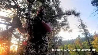 Rookie ELK Hunter | EP2 - BUGLING Heard For The FIRST TIME!