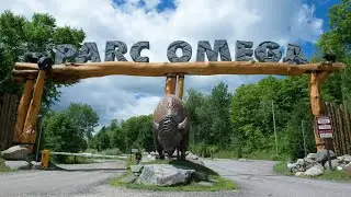 Canada. Park OMEGA. August 2021.