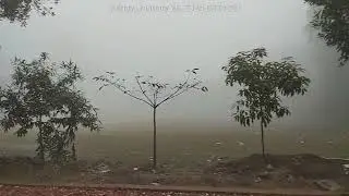 4th YouTube Video (29th February, 2024) Winter Mornings in Dinajpur (December 2023- February 2024)