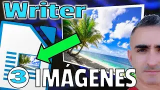 Writer Course 03 - IMAGES | How to insert, resize, crop, rotate, flip, and add captions.