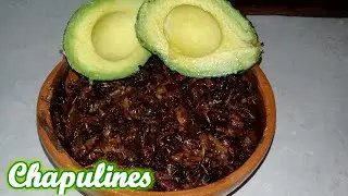 ¡CHAPULINES FRITOS ESTILO MEXICANO.!