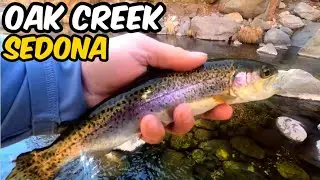 First Time Trout Fishing Oak Creek | Sedona Arizona