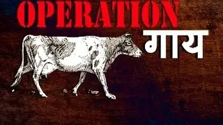 Sting operation reveals cow's meat being served in Delhi's five star hotels