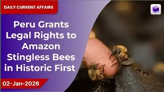 🐝⚖️ Peru grants legal rights to Amazon stingless bees in historic first | 02 Jan 2026