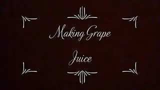 Making & Canning Grape Juice