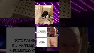 #memes #мем  #мемы #юмор #funny #прикол #cat