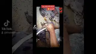 يصنع طبق الزفيطي  من مكونات بسيطة واساسها المهراس الزفيطي البوسعادي 😯☝👩🏻‍🍳🤤