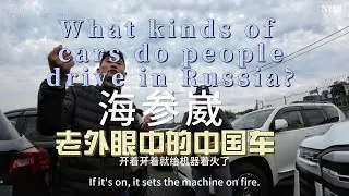 Vladivostok Used Car Market Comparison: Models from Various Countries海参崴二手车市场横评各国车型